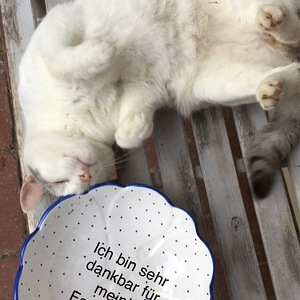 Meine Schale der Dankbarkeit