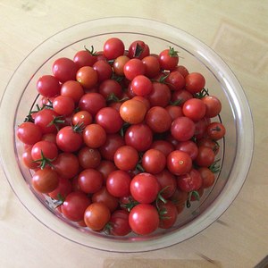 Meine Schale der Dankbarkeit