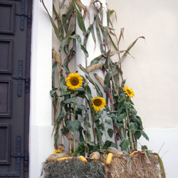 Erntedankfest 2012