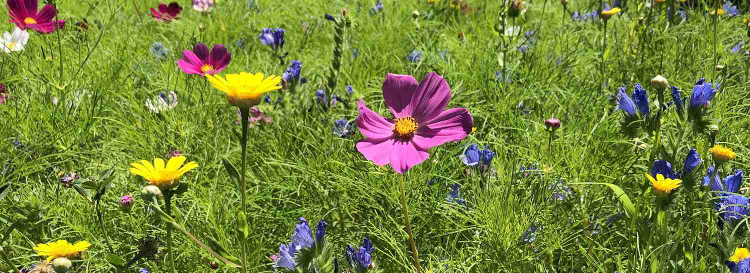 © Diözese Eisenstadt/Markus Heuduschits