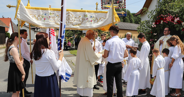 Sonja Radakovits-Gruber