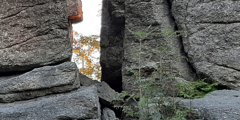 Eine offene Felsformation mit Blick auf den Himmel, goldenes Licht schimmert auf gegenüberliegenden Zweigen.