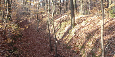 (Link: siehe Textende)