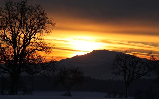 Hügel und Baum, dunkele Silhouetten im Gegenlicht des aufstrahlenden Lichtes der Sonne