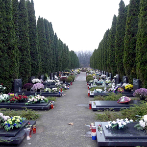 Die Opfer von Vukovar: Viele gelten bis heute als vermisst, unzählige Mütter kennen die Gräber ihrer Söhne nicht