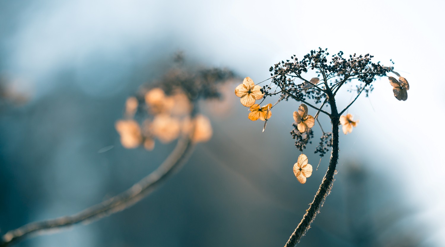 ©UlrikeAdam - stock.adobe.com
