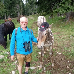 Vorstand Gerhard Strommer freundete sich mit einem Norikerfohlen an und borgte dem Pferd für kurze Zeit die KMB-Kopfbedeckung 