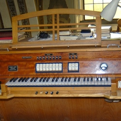Die Orgel