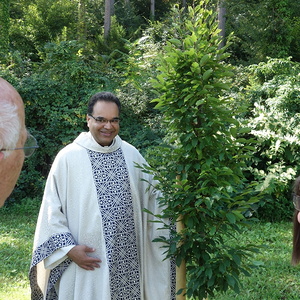 Pater Kuruvila mit 'seinem' Baum                            
