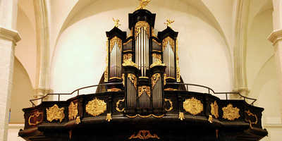 Die Haydn-Orgel im Martinsdom wurde im Mai 2020 renoviert.