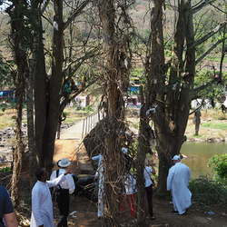 In den Bäumen hängende Fetzen aus Stoff und Plastik markieren die Höhe der Jahrhundertflut 