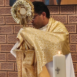 Pater Rijo: Schlusssegen mit Monstranz