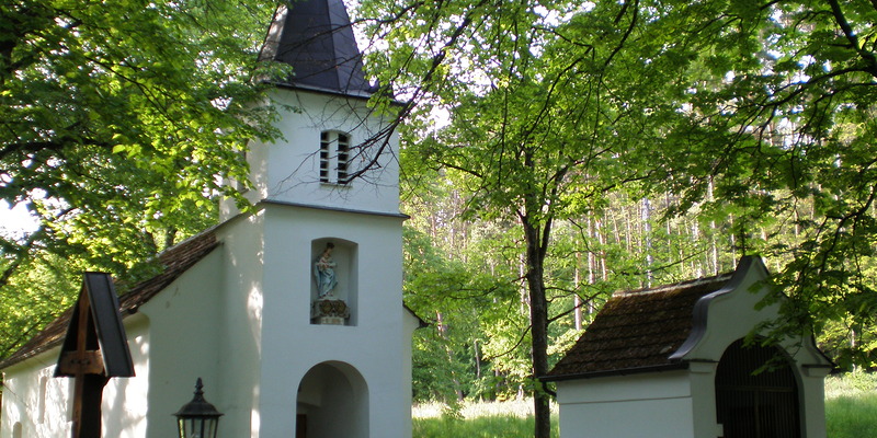 Der Arbeitskreis 'Berufung' der Diözese Eisenstadt lädt zur Wallfahrt von Oberpullendorf nach Maria Bründl in Steinberg-Dörfl ein.